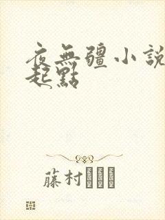 夜无疆小说辰东起点