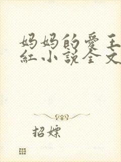 妈妈的爱王平全红小说全文免费阅读封面