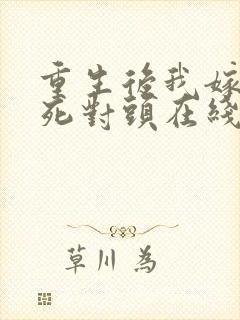重生后我嫁给了死对头在线看