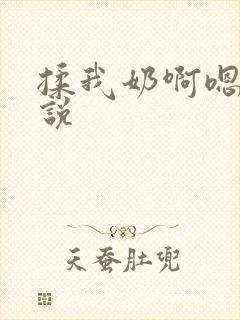 揉我奶啊嗯高小说