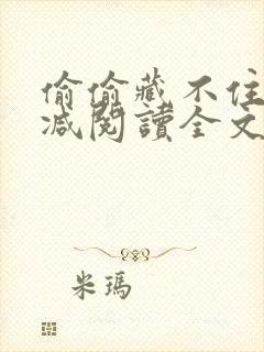 偷偷藏不住无删减阅读全文