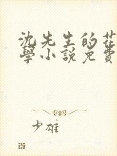 沈先生的花式教学小说免费