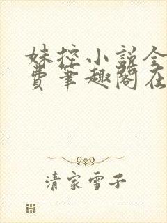 妹控小说全文免费笔趣阁在线阅读
