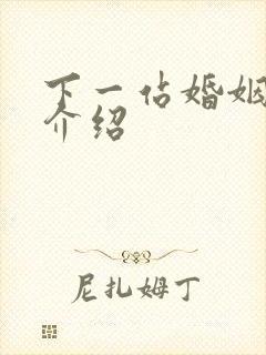 下一站婚姻剧情介绍封面