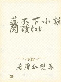 落不下小说免费阅读txt