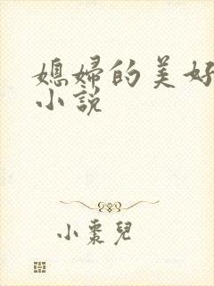 媳妇的美好时代小说