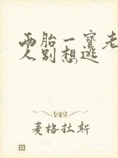 两胎一宝老婆大人别想逃