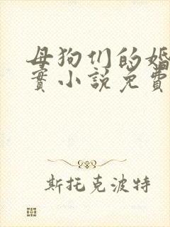 母狗们的婚礼纪实小说免费阅读封面