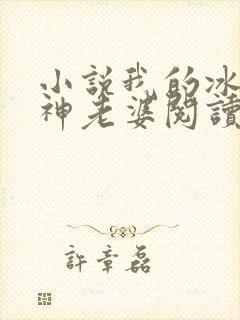 小说我的冰山女神老婆阅读
