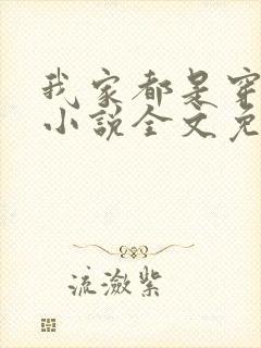 我家都是穿来的小说全文免费阅读