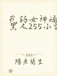 我的女神娇妻与黑人255小说
