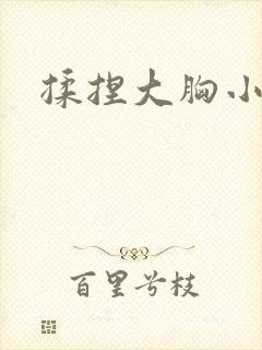 揉捏大胸小说