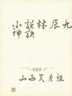 小说林辰九天斩神诀