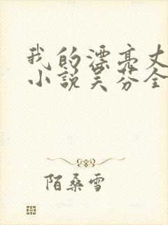 我的漂亮丈母娘小说吴芬全文阅读