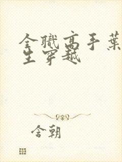全职高手叶修重生穿越封面
