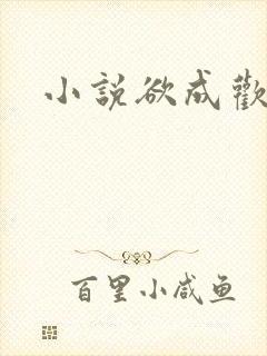 小说欲成欢