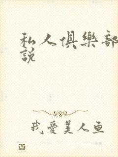 私人俱乐部 小说