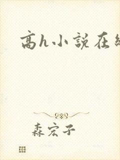 高h小说在线看