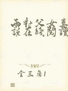 两对父女喜剧小说在线阅读封面