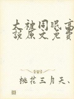 大被同眠高粱小说原文免费阅读封面