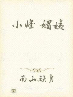 小峰 媚姨封面