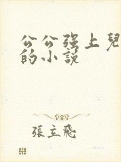 公公强上儿媳妇的小说封面