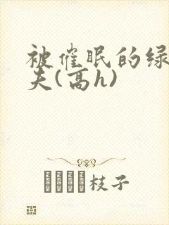 被催眠的绿帽夫夫(高h)封面