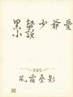 黑帮少爷爱上我小说封面