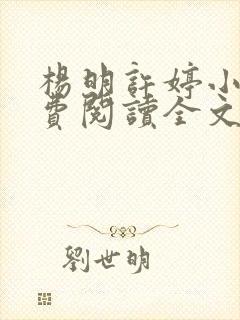 杨明许婷小说免费阅读全文最新章节