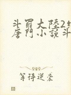 斗罗大陆2绝世唐门小说斗封面