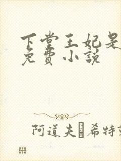 下堂王妃是戏精免费小说封面