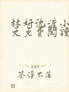 林妍沈渡小说全文免费阅读