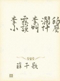 李霖李澜的官场小说叫什么名字啊