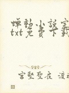 蝉动小说完整版txt免费下载