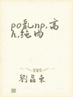 po乱np,高h,纯肉