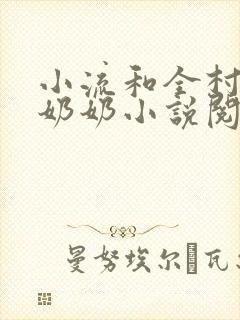 小流和全村的老奶奶小说阅读