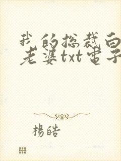 我的总裁白富美老婆txt电子版