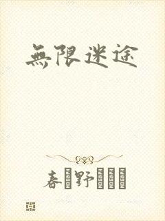无限迷途封面