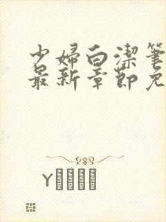 少妇白洁笔趣阁最新章节免费阅读封面