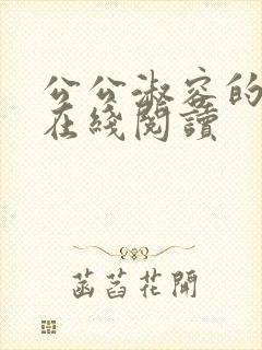 公公淑容的小说在线阅读
