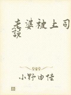 老婆被上司操小说