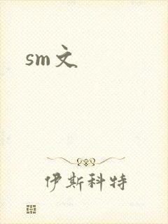 sm文封面