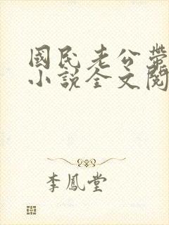 国民老公带回家小说全文阅读免费封面