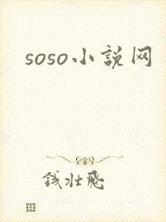soso小说网
