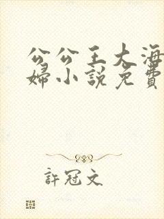 公公王大海和媳妇小说免费阅读全文无弹窗封面