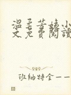 温柔芳姨小说全文免费阅读
