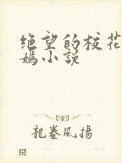 绝望的校花陆冰嫣小说