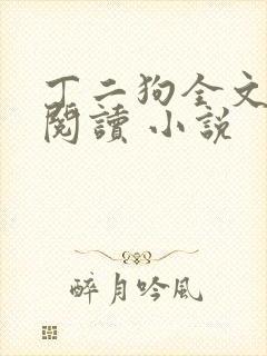 丁二狗全文免费阅读 小说封面