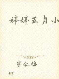 婷婷五月小说封面