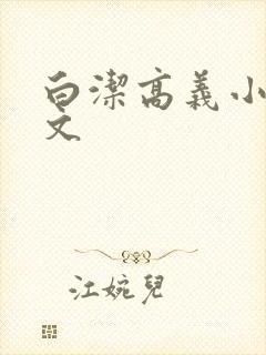 白洁高义小说全文